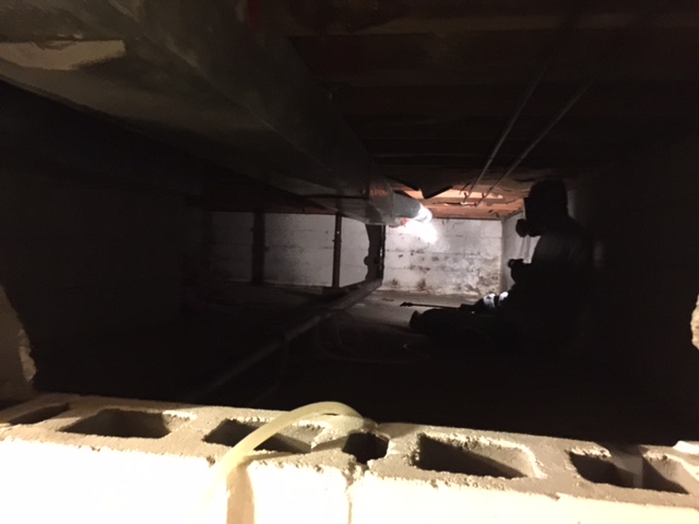 Mold Cleanup in Mansfield OH Crawlspace