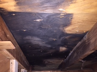 Ventilation Problem in Ohio Home Leads to Mold